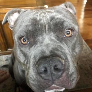 Meet your Posher, Cameron